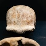neanderthal circeo grotta guattari 5